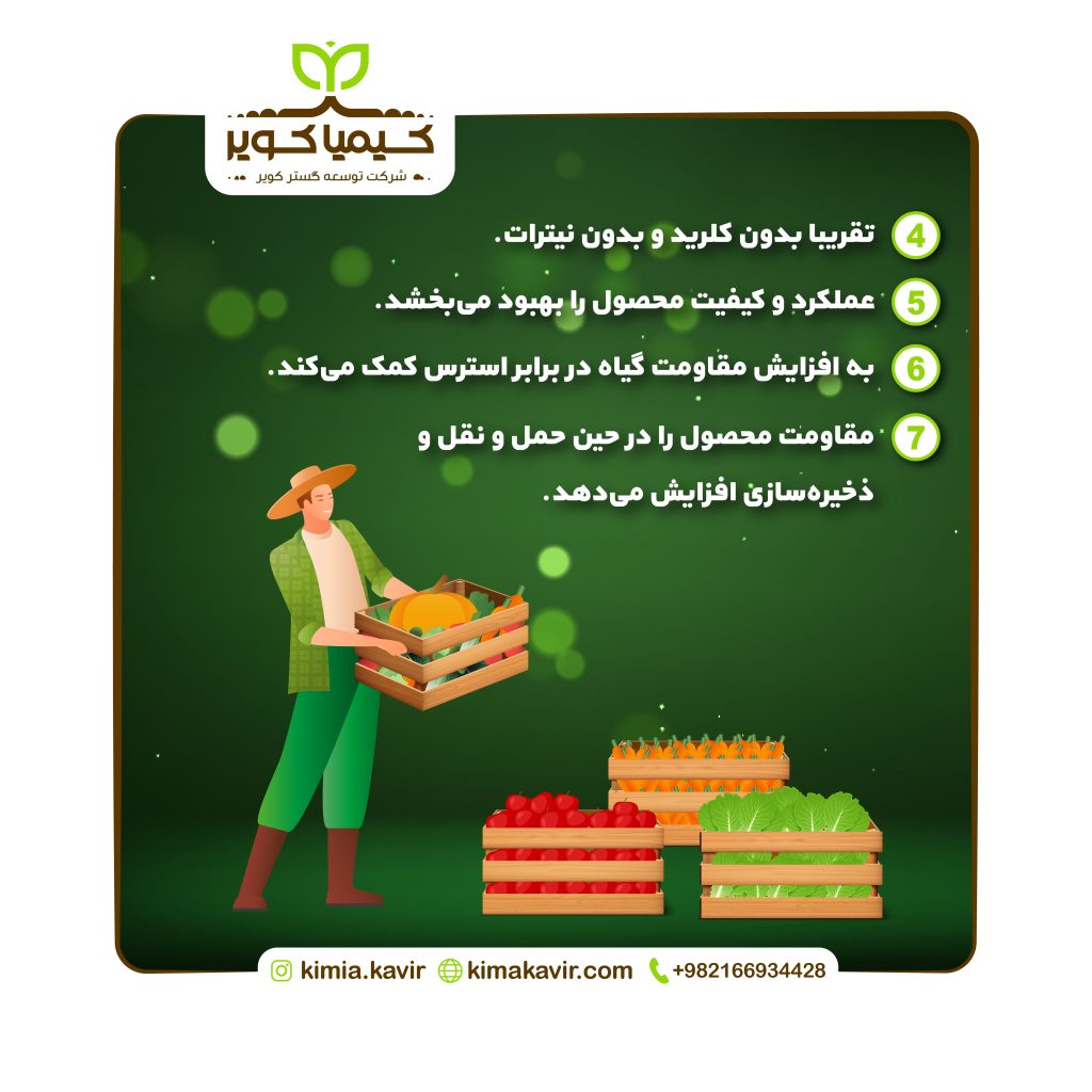 Potassium Sulfate big 01-03